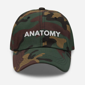 Anatomy