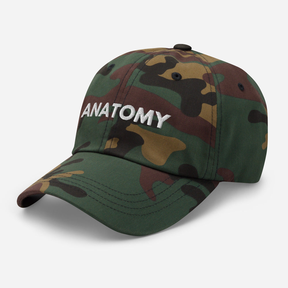 Anatomy