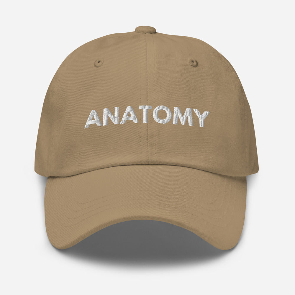 Anatomy