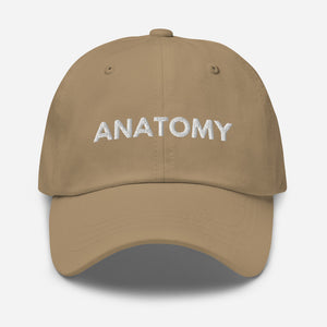 Anatomy