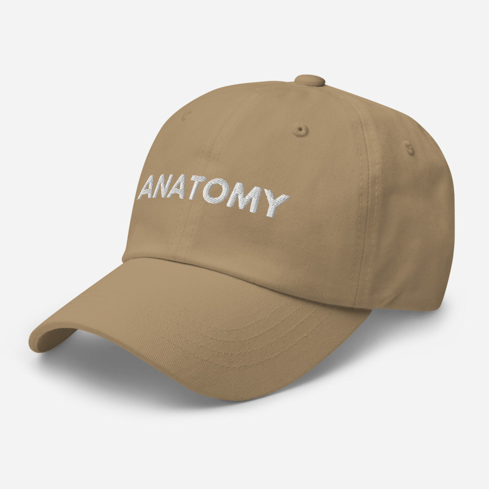 Anatomy