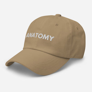 Anatomy