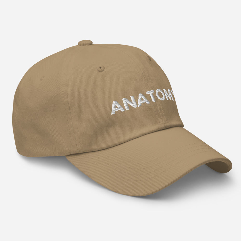 Anatomy