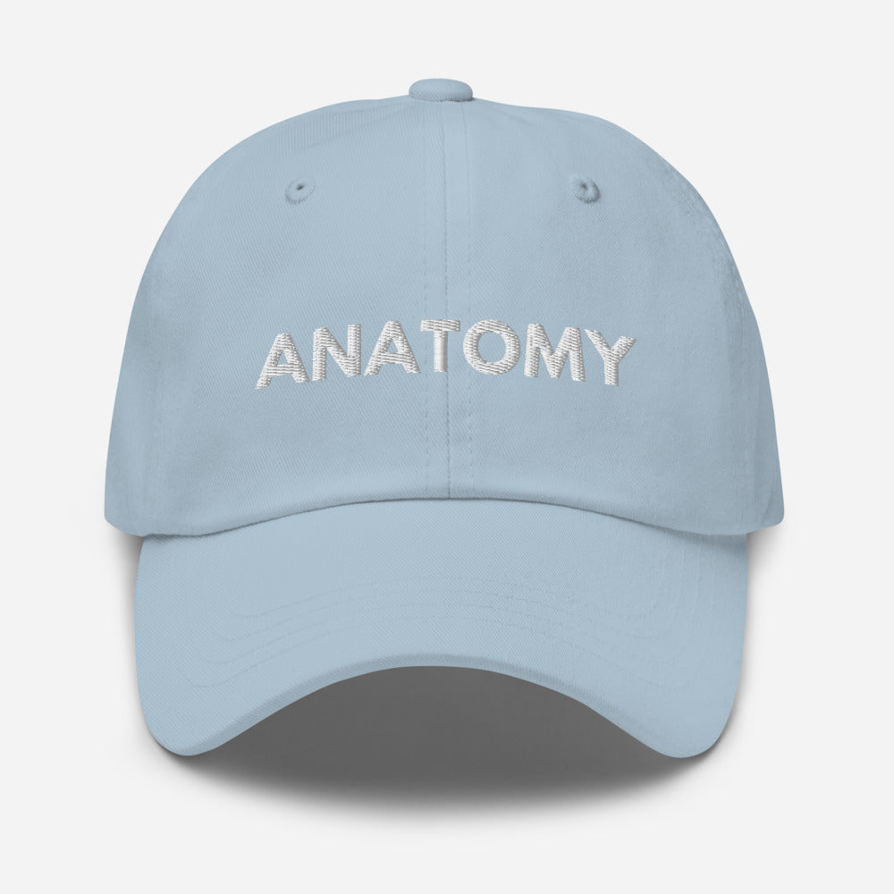 Anatomy