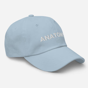 Anatomy