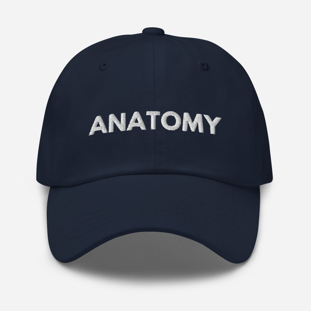 Anatomy