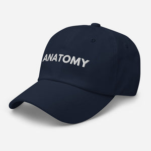 Anatomy