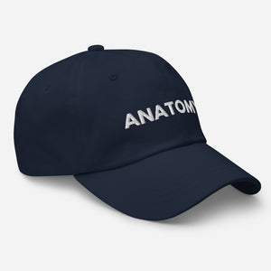 Anatomy